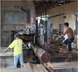 Sawmill and Warehousing